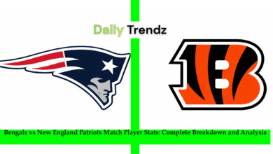 bengals vs new england patriots match player stats