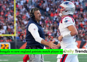 bengals vs new england patriots match player stats