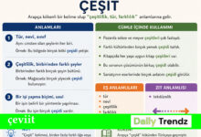 çeviit