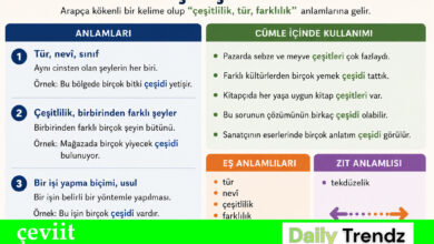 çeviit